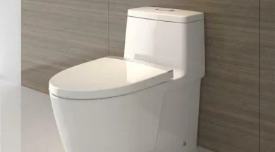 big_tile_toilet-599x333